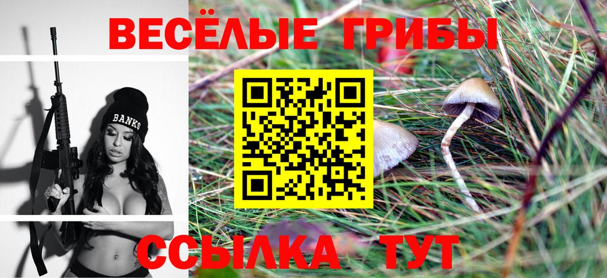 Псилоцибиновые грибы Cubensis  Галлюциногенные грибы ЛСД  Вход с VPN  Вольск 