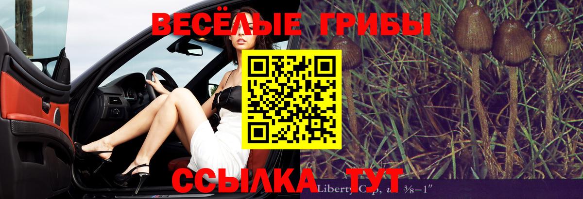 Псилоцибиновые грибы прущие грибы Вольск